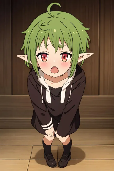 Sylphiette, green hair, open mouth, blush, elfian ears, full body shot, dark dress, <lora:Reinc_v3:0.7>