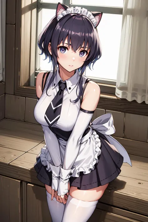 masterpiece, best quality, highres, <lora:hyoudou_michiru_v11:0.7>, hyoudou michiru, solo, fake animal ears, white thighhighs, maid headdress, detached sleeves, black skirt, white apron, sleeveless shirt, white shirt, black necktie, frilled apron, thighs, breasts