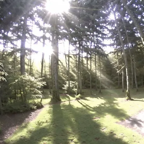 <lora:webcams:1>, webcamscrenshot,
among tall trees, with sunlight filtering through the leaves and casting dappled shadows on the forest floor. Birds chirp and rustling leaves can be heard as animals scurry through the underbrush, unseen.
