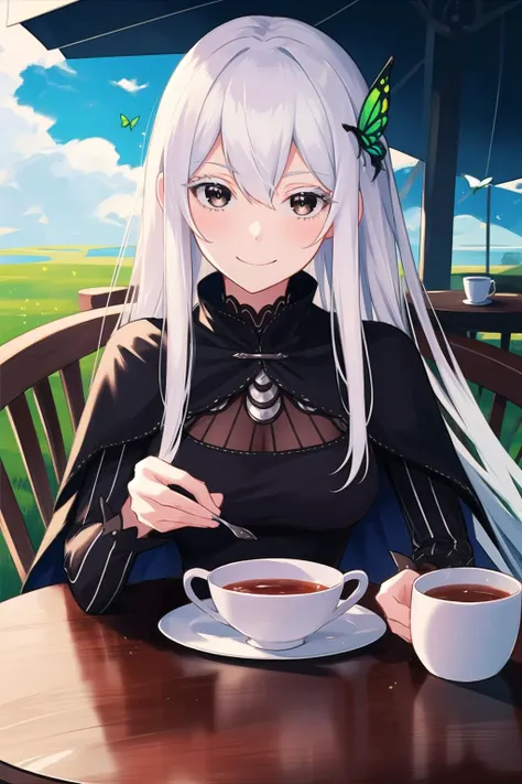 anime, hdr, soft light, ((best quality)), ((masterpiece)), (detailed),  <lora:Echidna_5_10:0.9> echidna, 1girl, white hair, brown eyes, green butterfly hair ornament, eyelashes, (colored eyelashes:1.1), black dress, looking at viewer, grin, closed mouth, tea cup, table, plains, blue sky