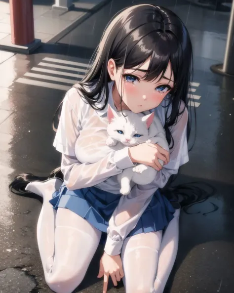 (masterpiece:1.2), (best quality:1.2), (extremely detailed:1.2), (extremely detailed face), (ultra detailed), 8k, anime style, cg, pretty face, 1girl, full body shot, <lora:PovWarizaFromAboveV1:1>, wariza, view from above, medium breast, long black hair, blue pupils, white blouse, blue skirt, black pantyhose, crying, (tears:1.1), (heavy rain:1), wet clothing, hugging a cat
sitting on the sidewalk, night time,