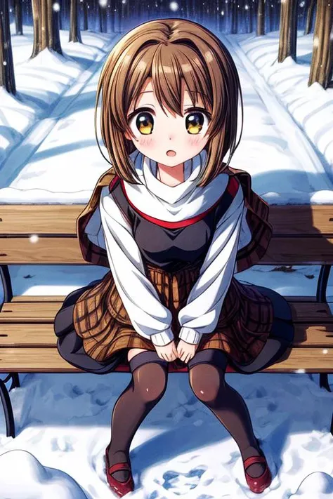 ultra-detailed,masterpiece,best quality,1girl,snow,bench,sitting,from above,misaka shiori,(black dress over white turtleneck, brown plaid shawl), black stockings,shy <lora:add_detail:1.2> <lora:misaka shiori:0.7>