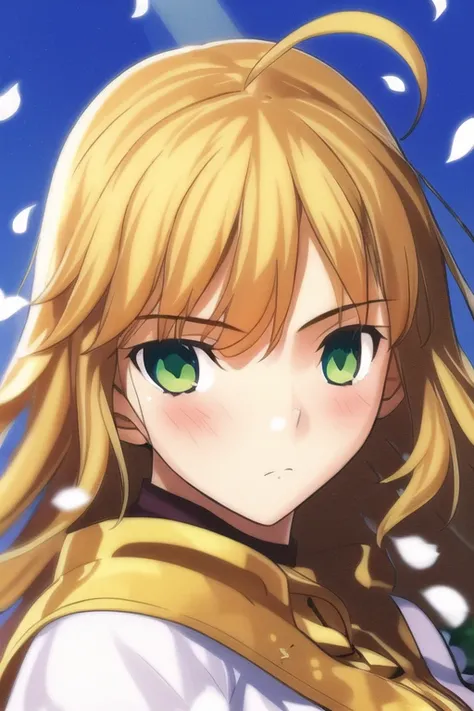 (1girl:1.2),solo focus, saberface, <lora:saber_v4:1>,
masterpiece,best quality,undersaturated,
lighting,beautiful detailed blue sky,petals, shining, outdoors ,
expressionless ,green eyes,blonde hair,ahoge,hand,
light rays ,detailed skin,