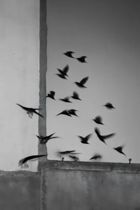 <lora:Photographer Elena Helfrecht Style:1>Photographer Elena Helfrecht Style - a flock of birds flying around a building next to a wall with a gutter on it