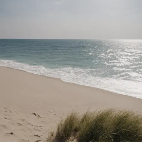 a beach