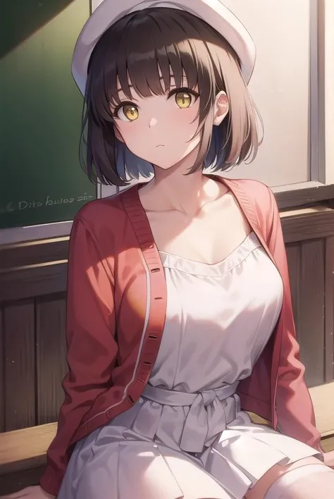 katoumegumi, <lora:megumikatoutest:1>,
megumi katou, brown hair, short hair, (yellow eyes:1.5),
BREAK hat, jacket, long sleeves, thighhighs, white headwear, white thighhighs, dress, (white dress:1.5), (red jacket:1.5), (white hat:1.5),
BREAK looking at viewer,
BREAK indoors, classroom,
BREAK <lora:GoodHands-vanilla:1>, (masterpiece:1.2), best quality, high resolution, unity 8k wallpaper, (illustration:0.8), (beautiful detailed eyes:1.6), extremely detailed face, perfect lighting, extremely detailed CG, (perfect hands, perfect anatomy),