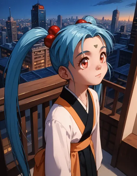 score_9, score_8_up, score_7_up, score_6_up, score_5_up, score_4_up, rating_safe, 1girl, sasami, blue hair, long pigtails, white skin, closeup, serene, top view, standing at the top of a tall building in city at night