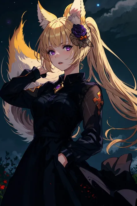 1girl, fox ears, purple eyes,  <lora:YuisisDress0.5:0.5>, medieval, dawn, night sky,