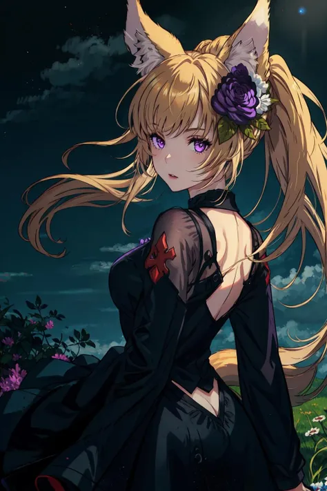 1girl, fox ears, purple eyes,  <lora:YuisisDress0.5:0.5>, medieval, dawn, night sky,