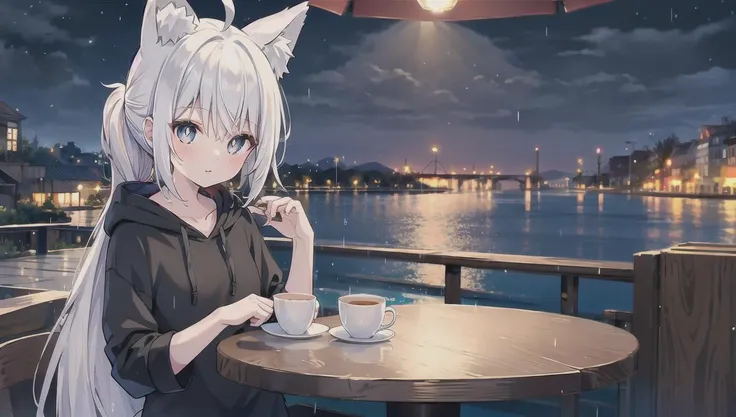 (masterpiece, top quality, best quality), 1girl, white hair,white skin, white pupils, ((grey eyes)), tareme, long hair,low ponytail, ahoge, wolf ears,fox tail, small breasts,black hoodie,[:3],<lora:gyokai:0>,<lora:oversized_shirt:0.4>,<lora:zoom_slider_v1:1>,cinematic lighting, <lora:epiNoiseoffset_v2:1>, <lora:dungeon_v2.0:0> ,landscape ,night,((cafe)),rain,light,chair,table,sitting,upper body,window,street