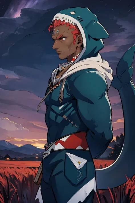 masterpiece, best quality,  <lora:otakoGuraCos-20:1> ggcosplay, hood up, shark tail<lora:ganondorf-nvwls-v1:0.75> ganondorf, dark skin, male focus, furrowed brow, serious, arms at sides, night, field, purple sky