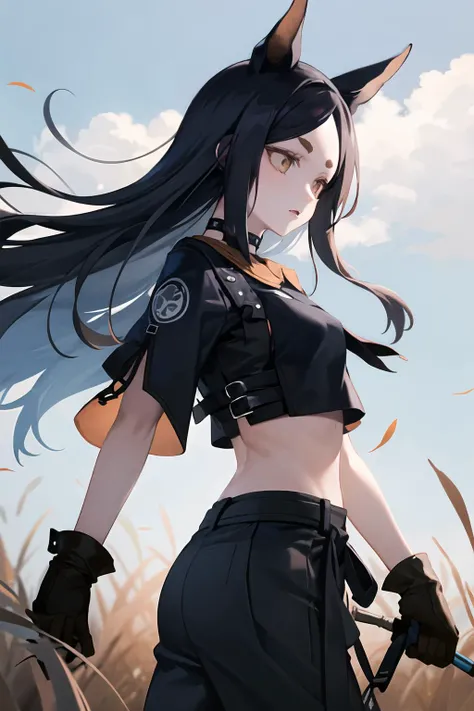 masterpiece, best quality, highres, dob1, long hair, animal ears, crop top, brown gloves, midriff, black shirt, black choker, black pants, thick eyebrows, <lora:dobermann_(arknights)_v1:0.7>, from side, field, wind