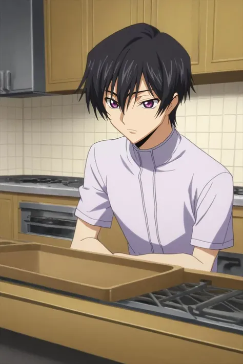 score_9, score_8_up, score_7_up, source_anime, rating_safe, intricate details, anime screencap, anime coloring, , , , 1boy, solo, male focus, <lora:lelouch_lamperouge_pony:0.78>, lelouch_lamperouge, black hair, purple eyes, hair between eyes, bangs, , , panorama, kitchen, light, spread legs, speaking, talking, , <lora:sdxl_lightning_8step_lora:1>