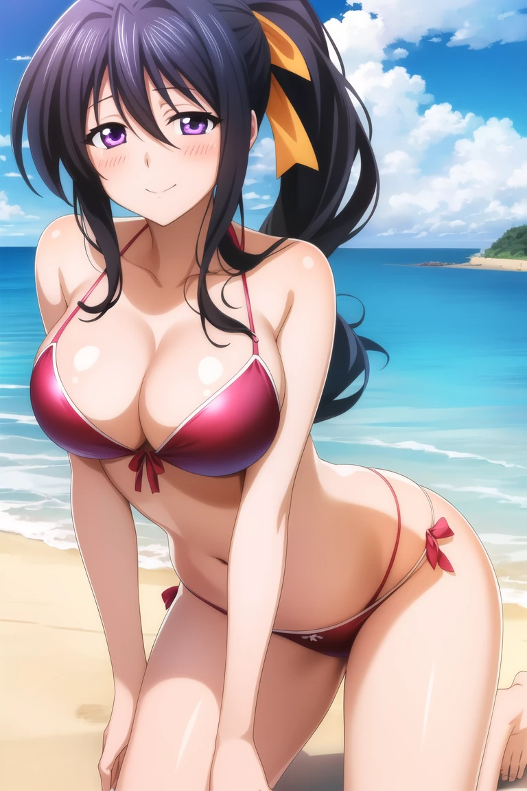 masterpiece, best quality, ultra-detailed, illustration, bikini, 1girl, beach,ocean, <lora:akenoHimejimaLora_1:1> ,himejima akeno,