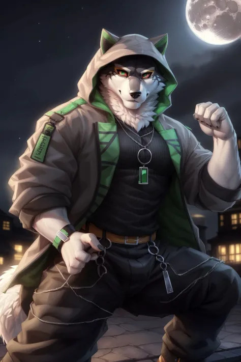 <lora:monomasaV2-05:0.9>, monomasa, muscular, (detailed eyes, black pupils, green eyes, (red sclera), (yellow eyeshadow:0.8)), wolf tail, (pose:1.3), (posing:1.3), (soft shading), 4k, hi res, five fingers, detailed hands, ((detailed face, (detailed eyes:1.0), detailed)), (full body), by zackarry911, by zaush, (by personalami:0.5), solo, looking at viewer, short hair, shirt, 1boy, jewelry, jacket, male focus, thighs, open clothes, belt, pants, hood, necklace, coat, night, feet out of frame, thick thighs, black pants, moon, hood up, bulge, fighting stance,