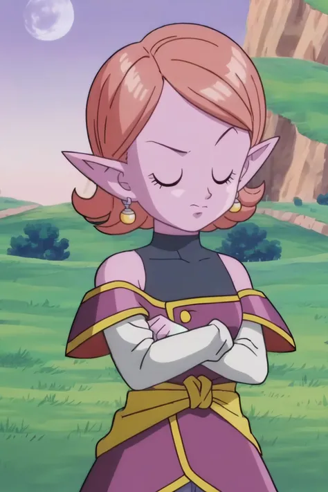 source_anime, score_9, score_8_up, score_7_up, anime screencap,8k, absurdres,
chronoa, 1girl, solo, short hair, gloves, bare shoulders, potara earrings, closed eyes, outdoors, pointy ears, white gloves, colored skin, raised eyebrow, crossed arms, moon, grass, purple skin, yellow sash, white sleeves, standing, small breasts, sleeveless turtleneck leotard, Sacred World of the Kai, purple tunic, orange hair, off shoulder, kai tunic, detached sleeves, collarbone, blue pants, blue leotard, cowboy shot, official style,
<lora:chronoa_pony_v1:0.8>
