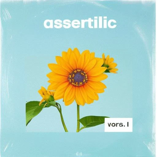A simple album cover art with a minimalist image of a flower and sans-serif typography, in the style of acoustic music.