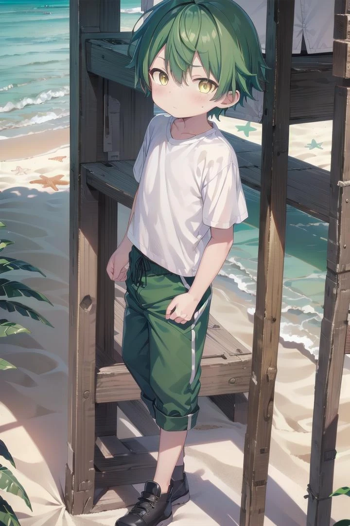 1boy, nobu, green hair, masterpiece, ultra detail, male focus, yellow eyes, beach,shirt
<lora:last-000071:0.7>