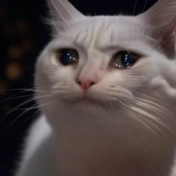 [(sadcatmeme:1.1) in the space between stars <lora:SadCatMeme_V10:1.1>|extremely sharp photo of night stars sky]
 <lora:LowRA:0.5> <lora:add_detail:1>
