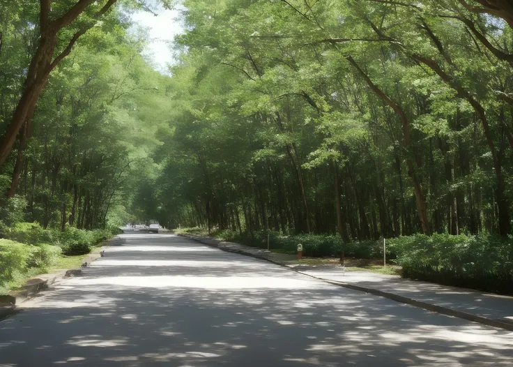 road through forest