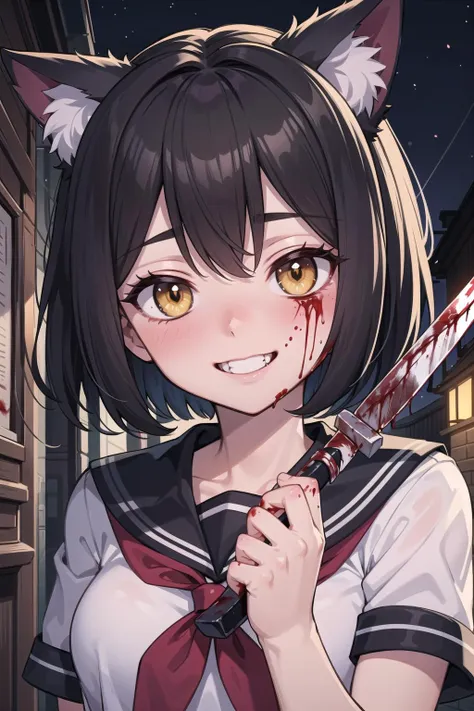 (masterpiece),  night,  alley,  (close-up:0.8),  (crazy,  crazy eyes,  crazy smile,  yandere:1.2),  1girl,  serafuku,  short hair,  bob hair,  medium breasts,  black hair,  yellow eyes,  blood,  blood splatter,  blood on face,  blood on knife,  (holding knife:1.2),  blush,  cat ears