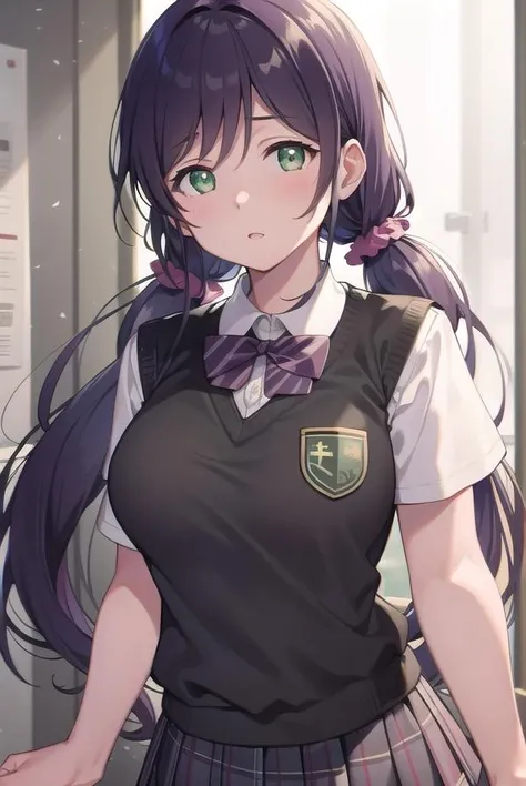 nozomitoujou, <lora:nozomitoujoutest:1>,
nozomi toujou, (green eyes:1.5), purple hair, twintails, low twintails, scrunchie, long hair, (large breast:1.2),
BREAK otonokizaka school uniform, pleated skirt, school uniform, short sleeves, skirt, summer uniform, sweater vest, yellow sweater vest,
BREAK looking at viewer,
BREAK indoors, classroom,
BREAK <lora:GoodHands-vanilla:1>, (masterpiece:1.2), best quality, high resolution, unity 8k wallpaper, (illustration:0.8), (beautiful detailed eyes:1.6), extremely detailed face, perfect lighting, extremely detailed CG, (perfect hands, perfect anatomy),