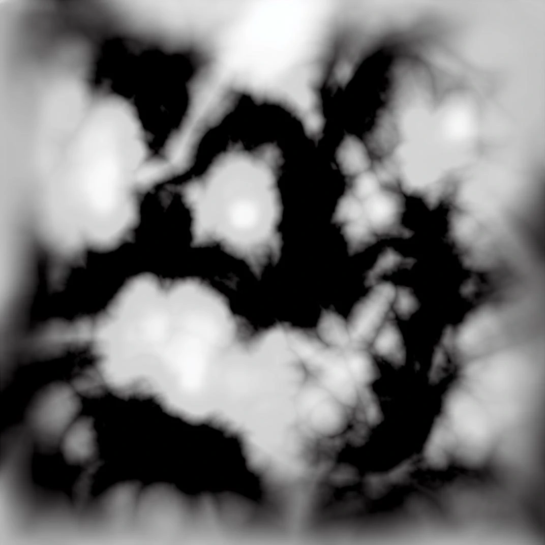black and white, Hight Map, Lake, <lora:Height Map_V03_03:1>