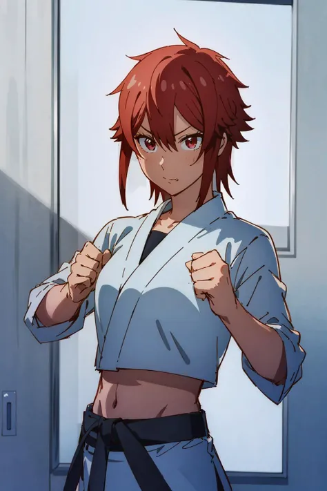 beautiful, masterpiece, best quality, extremely detailed face, perfect lighting, cowboy shot, BREAK
1girl, tomo, pixv fanbox, <lyco:tomo:0.86>, fit body, midriff, fists, martial arts stance, (fang), cute BREAK
dojo background, digital art, digital painting,  golden ratio, evocative,  fascinating, concept art, negative space,