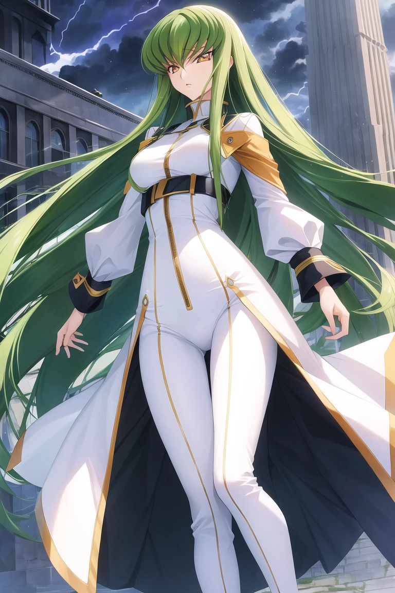 masterpiece, best quality, highly detailed
c.c., code geass,
green hair, very long hair, wavy hair, orange eyes, detailed eyes, medium breast,
white bodysuit, (white straitjacket), oversized clothes, zipper, black belt, long sleeves, white footwear, sleeves past wrists,
full body, intense angle, dynamic pose,
mksks style, beautiful background, professional lightning, outdoors,