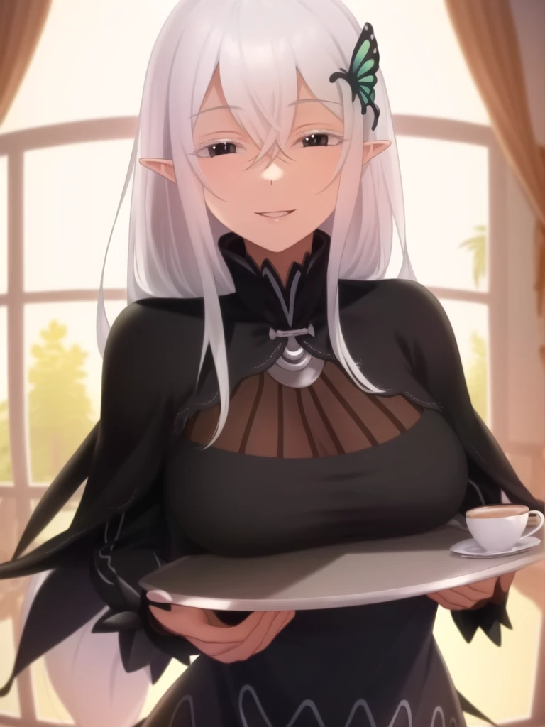 (extremely detailed CG unity 8k wallpaper), (masterpiece), (best quality), (ultra-detailed), (best illustration),(best shadow), (an extremely delicate and beautiful), finely detail,
(breasts on tray:1.4), round tray,  cafe, detailed background, day, window, trees
echidna (re zero), re zero kara hajimeru isekai seikatsu, 1girl, (black dress:1.1), black eyes, butterfly hair ornament, capelet, dress, hair between eyes, hair ornament, long dress, long hair, long sleeves, looking at viewer, pointy ears, solo, white hair, blush, smile