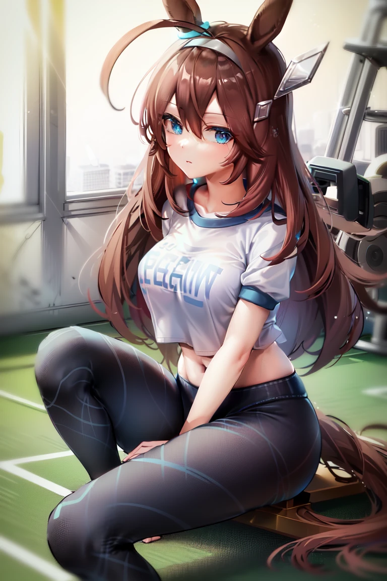 masterpiece, best quality,
mihono bourbon \(umamusume\),
gym clothes, blue leggings, squatting,
cowboy shot, 
 <lora:mihono_bourbon_lora-000010:0.9>