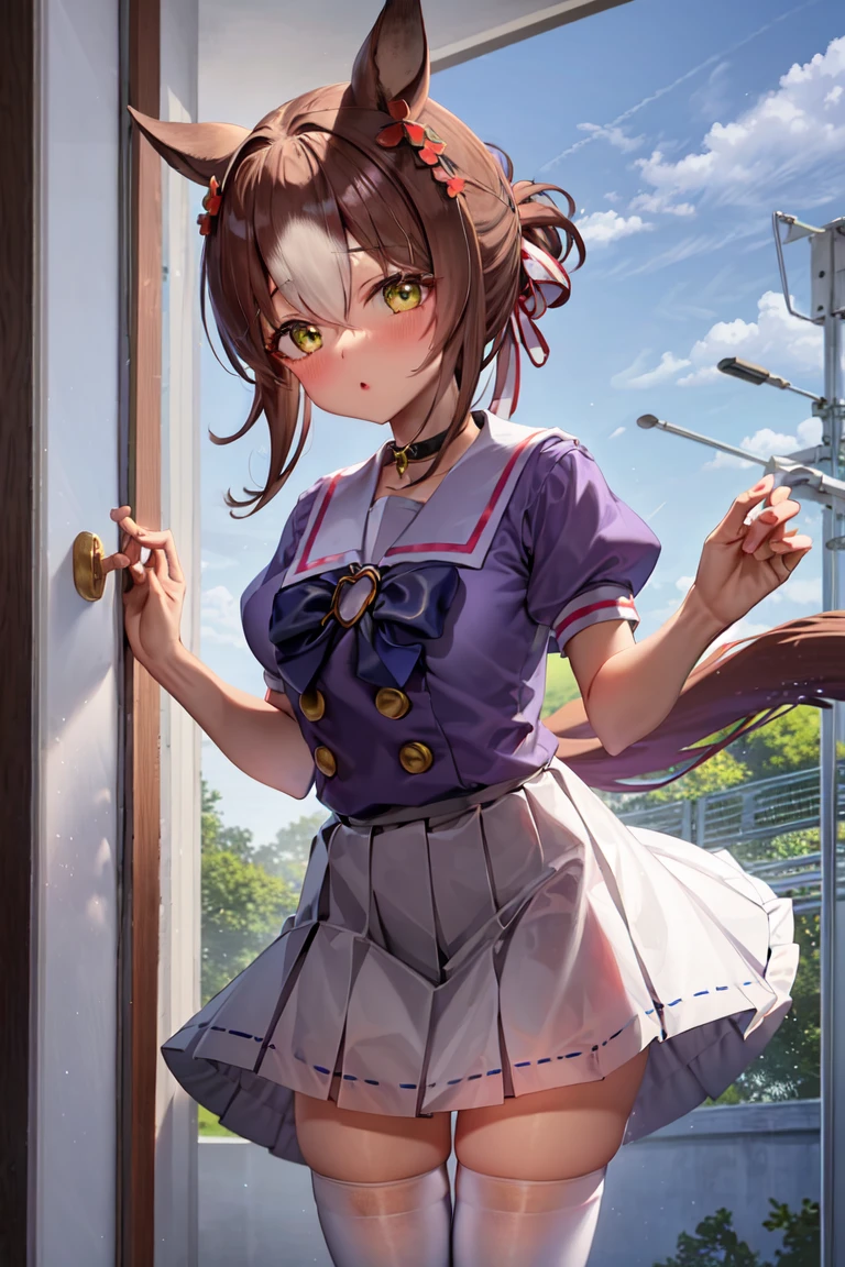 masterpiece, best quality,
fine motion \(umamusume\),
tracen school uniform, purple shirt, white skirt, puffy short sleeves, sailor collar, bowtie, pleated skirt, sailor shirt, miniskirt, zettai ryouiki, white thighhighs
 <lora:fine_motion_lora:0.8>