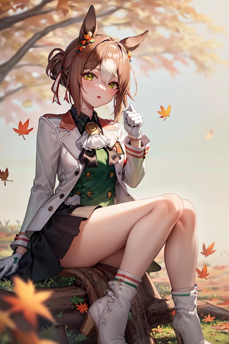 masterpiece, best quality,
fine motion \(umamusume\),
white gloves, white footwear, black skirt, white jacket, green shirt, long sleeves, white coat, open clothes, collared shirt, socks, high heel boots,
autumn leaves, autumn, tree, clover hair ornament
sitting,
<lora:fine_motion_lora:0.8>