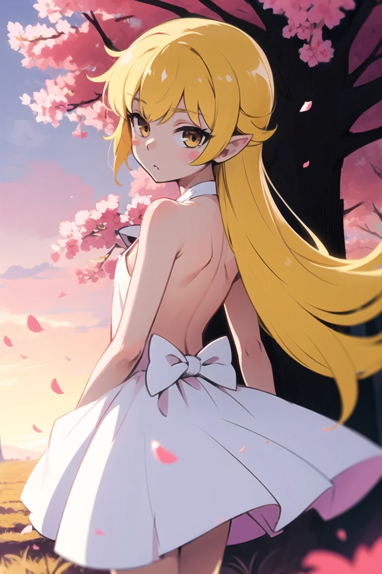 1girl, solo, female, (oshino_shinobu),<lora:loraOshinoShinobu-v1:0.6>, (blonde) (blonde_hair), (yellow_hair), ((long_hair)), ((bangs)), (yellow_eyes), blush, cute, innocent face, pointy_ears, (blush_stickers), flat_chest,
dress, white_dress, bow, standing, looking_back
global illumination, hdri, subsurface scattering, masterpiece, 4k, raytrace, beautiful, sharp, smooth skin, bloom, anime
sunset, nature, windy, trees, flowers, sakura_petals