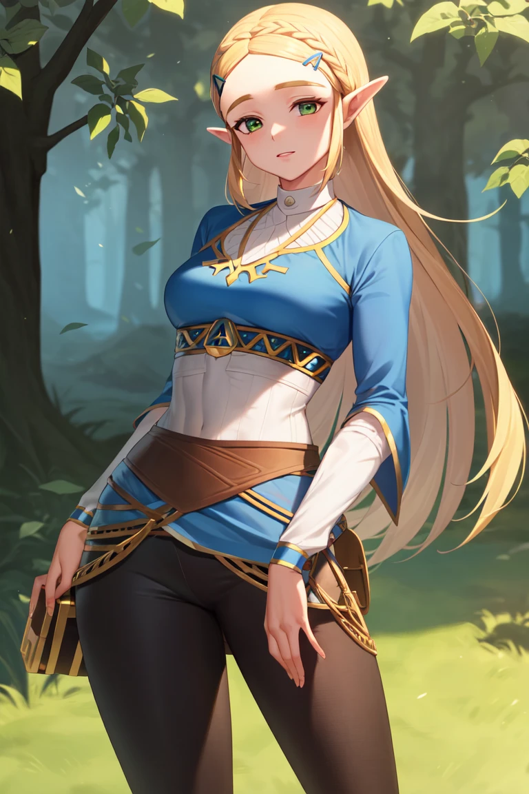 masterpiece, best_quality, 1girl, solo, princess zelda, nintendo, the legend of zelda, botw, black pants