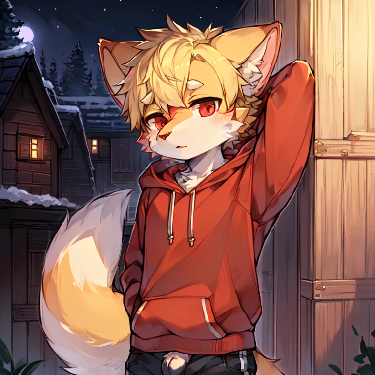solo,1boy,anthro,furry_male,fox_boy,(red_fur:1.3),(detailed_fluffy_fur),(intricate_detail_fluffy_fur),tuft,(body_fur:1.2),oil_skin,(skin_with_fluffy_fur),tail,short_hair,red_eyes,blonde_hair,shorts,hoodie,upper_body_close-up,cowbow_shot,half-closed_eyes,expressionless,heavy_breathing,looking_at_viewer.
(Cozy_hood_Hideaway:1.5),night,(detailed_background,amazing_background),outdoors,scenery.