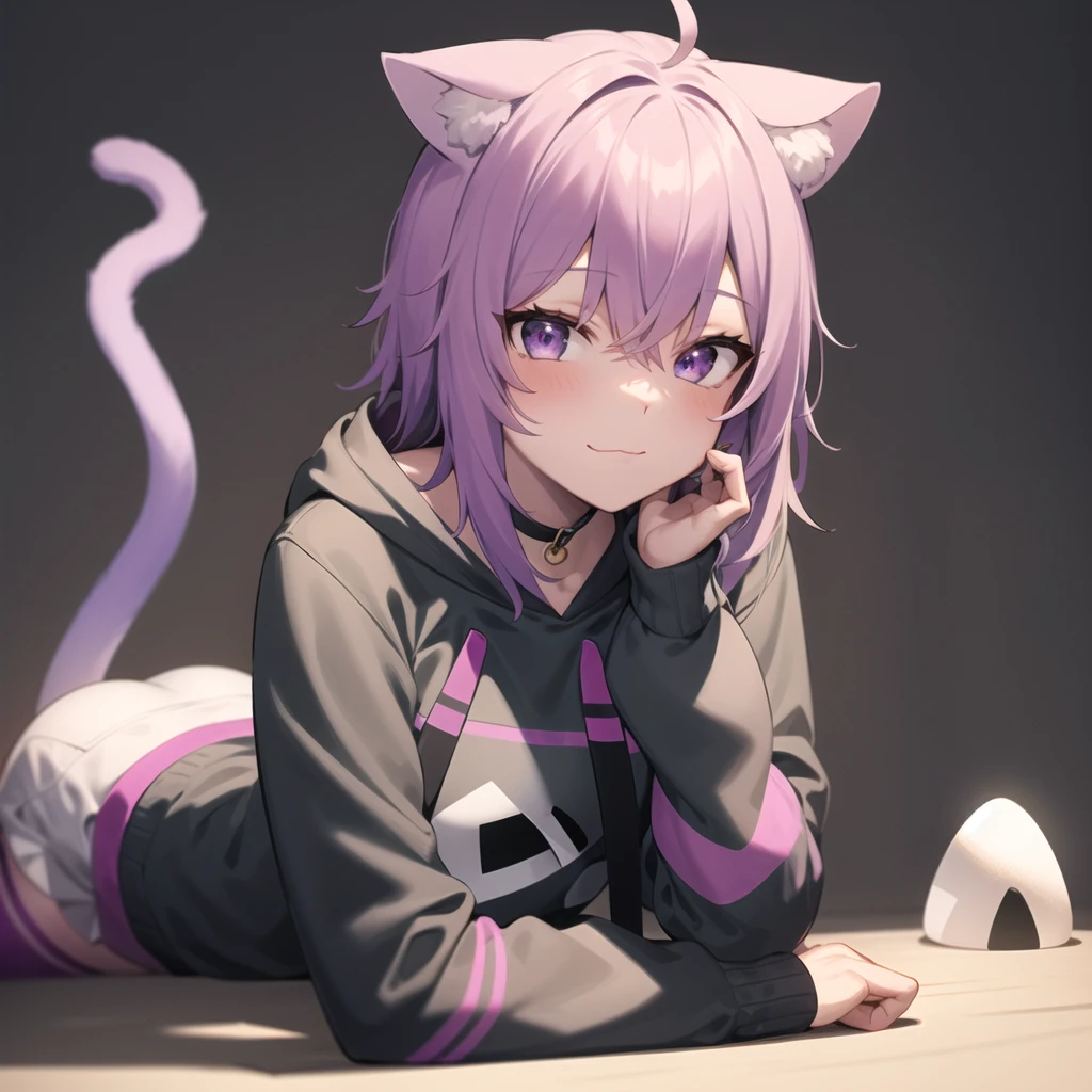 2d, masterpiece, best quality, anime, highly detailed face, highly detailed eyes, highly detailed background, perfect lighting, full body, 1girl, solo, nekomata okayu, hoodie, white legwear, onigiri, cat tail, :\3 <lora:okayu-20:1>