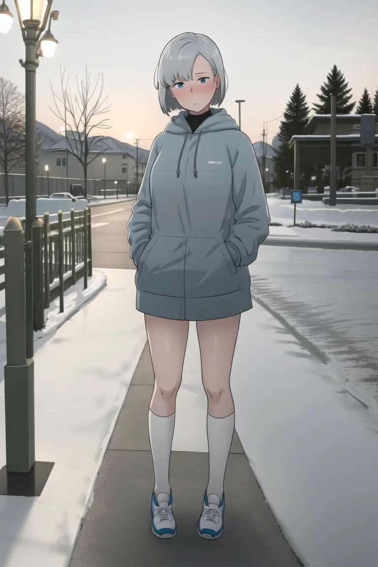<lora:NTRman:.8>, NTRman, masterpiece, best quality, 1girl, bare tree, blue eyes, blush, bob cut, closed mouth, drawstring, expressionless, full body, grey hair, hands in pockets, head tilt, hood, hoodie, kneehighs, lamppost, long sleeves, looking at viewer, outdoors, scenery, short hair, snow, snowing, socks, solo, standing, tree, white socks