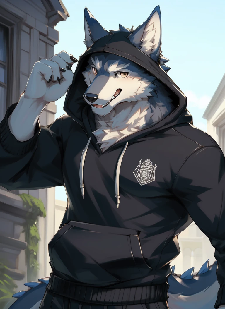 nj5furry,((wolf,hoodie)),white fur,male, kemono, ((extremely realistic shading, masterpiece, extremely detailed, photorealistic)),
((dragon)),strong, mature male, dynamic pose