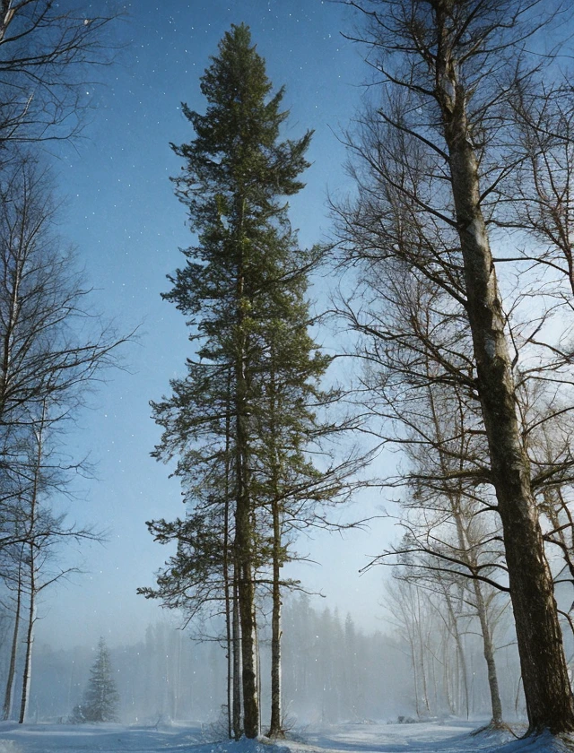 raw photo, film grain, fuji film, mystical snow forest <lora:Analog Style Fuji:0.8>
