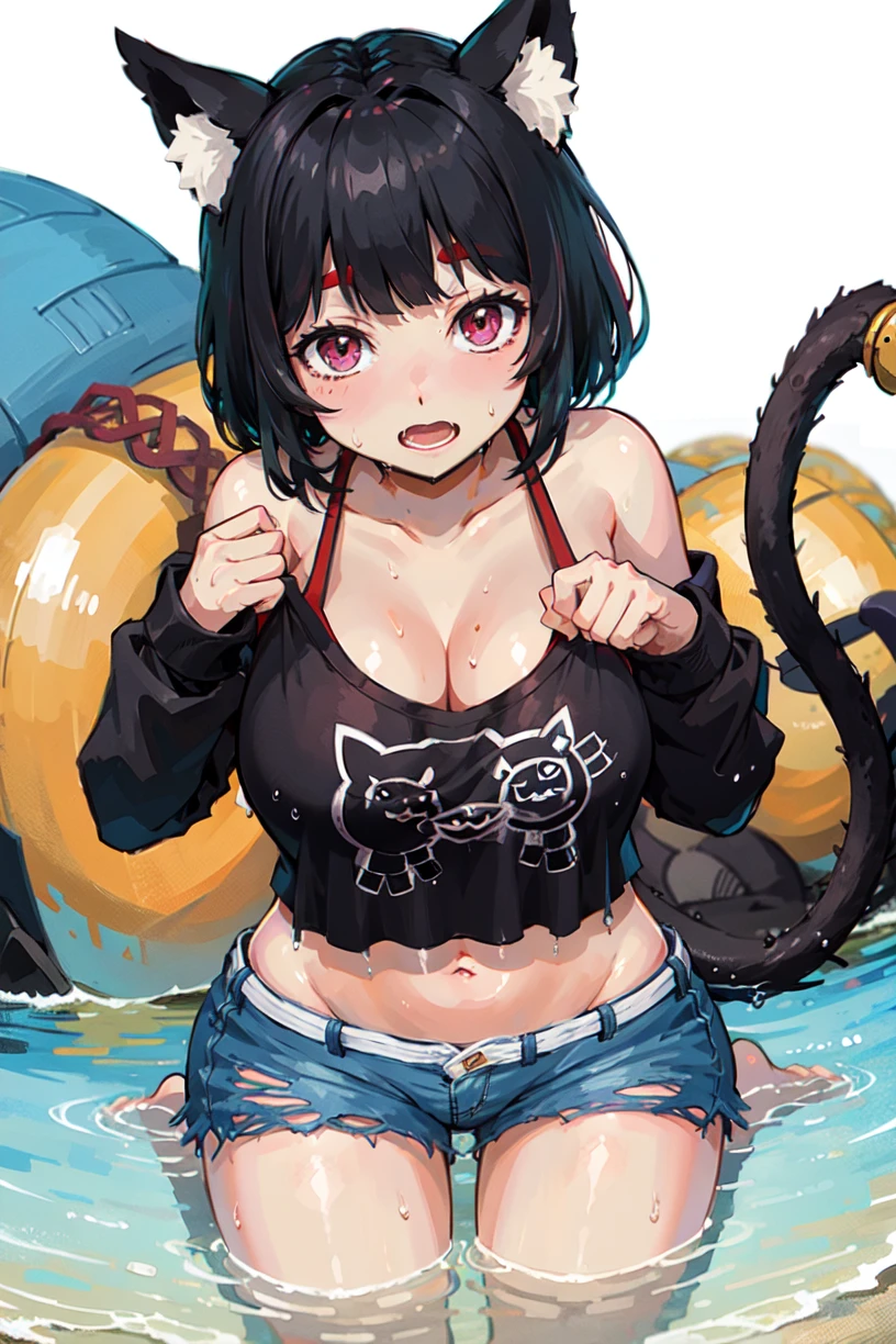 <lora:yamashiro_v2.0:0.8>,yamashiro\(azur lane\),\(vacation_offensive\), torn_clothes,torn_shorts , navel,long sleeves,from above,cat tail,beach, wariza, ;d, wet, masterpiece, best quality, extremely detailed face, sharp details, high contrast,