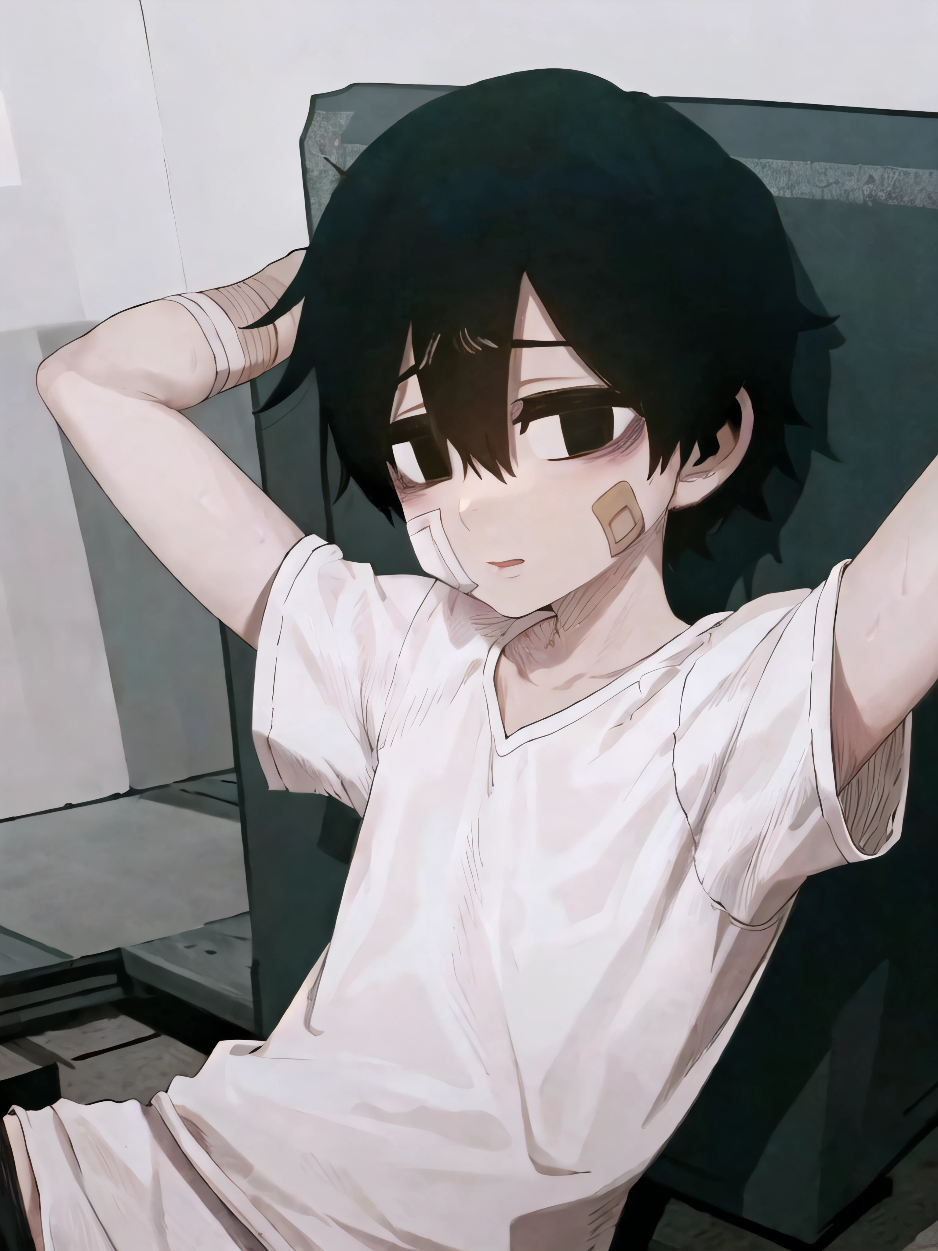 masterpiece, best quality, anatomically correct, 1boy, black eyes, black hair, hair between eyes, short hair, bandaid on face, white shirt, black shorts, upper body, solo, leehoon <lora:Hooni:1>