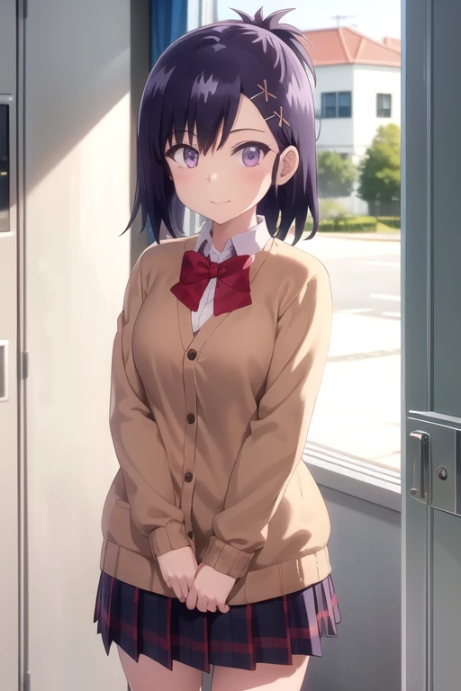 (extremely detailed CG unity 8k wallpaper), (masterpiece), (best quality), (ultra-detailed), (best illustration), (best shadow), (absurdres), 1girl, solo, <lora:vigne:0.8>, vignette april tsukinose, school uniform, cardigan, looking at viewer, smile, v arms