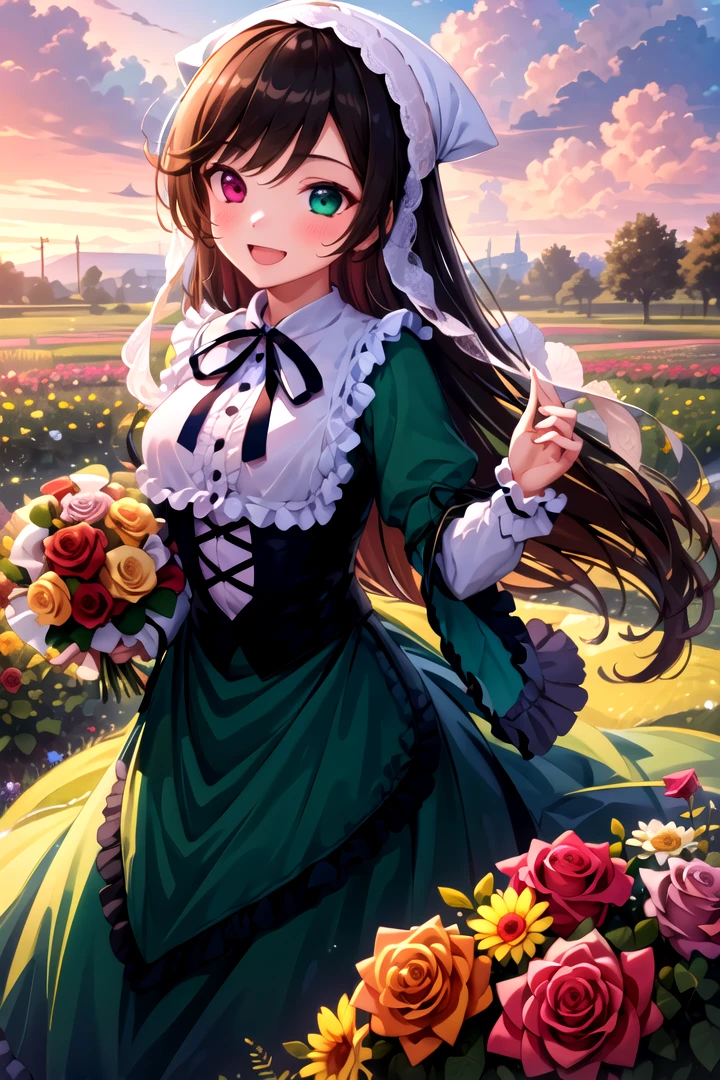 masterpiece, best quality, 1girl, <lyco:Suiseiseki-000010:1.0>, suiseiseki, frills, head scarf, bonnet, corset, dress, flower, holding, sky, cloud, outdoors, bouquet, rose, open mouth, smile, blush, flower field, red flower, looking at viewer, holding flower, red rose, holding bouquet, depth of field