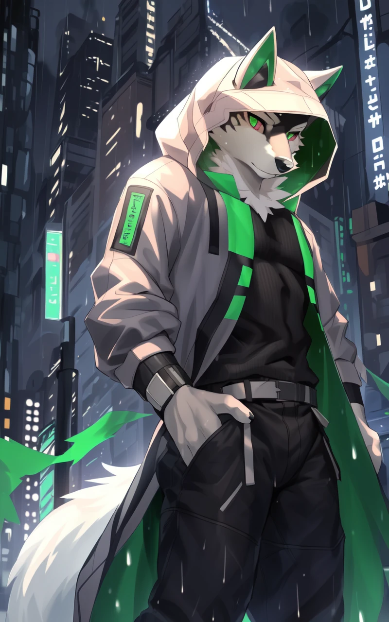 masterpiece, best quality, absurd res, ultra detailed, perfect anatomy,
monomasa,
by canyne khai, (by kiyosan:0.6), (by null-ghost:0.8), (by Pino Daeni:0.8),
furry, male, wolf, husky, solo, green pupils,
white hooded coat, hood up, clothed,
rain, cloudy, cityscape, <lora:monomasa2-000005:1>