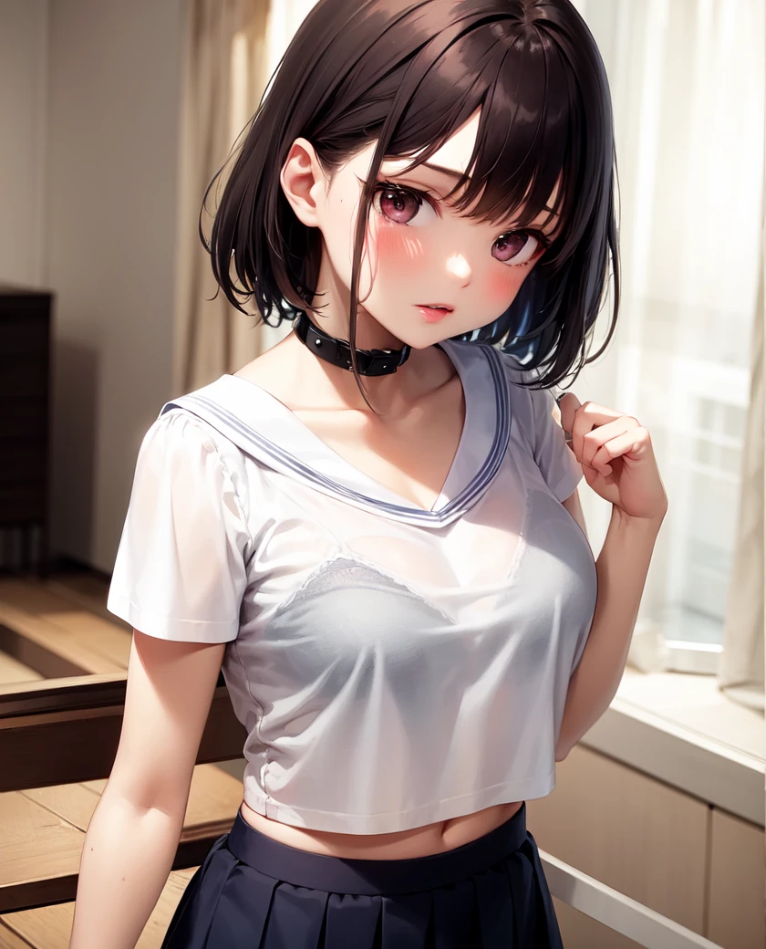 (bra visible through clothes:1.0), (bra:1.0), 1girl, solo, medium breasts, indoors, standing, sailor collar, serafuku, short sleeves, pleated skirt, upper body, see-through, , 
females hand,