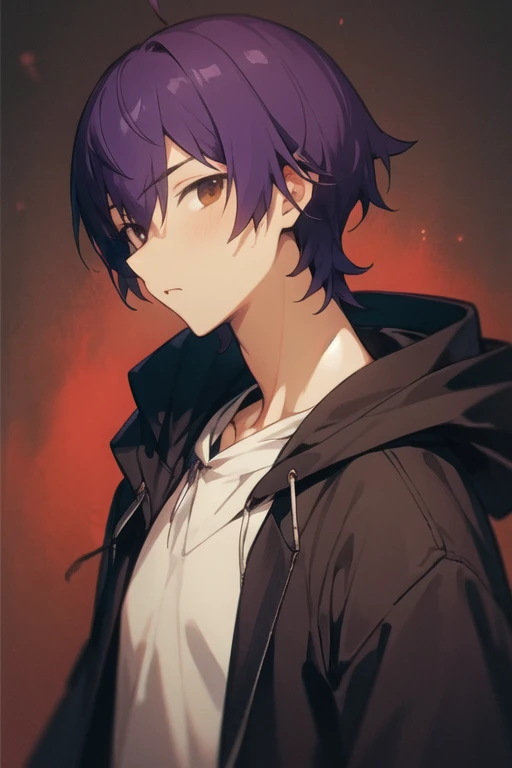 masterpiece, best quality, high quality, 1boy, solo, male focus, looking at viewer, upper body, <lora:shin_wolford:0.74>, shin_wolford, brown eyes, purple hair, , hoodie