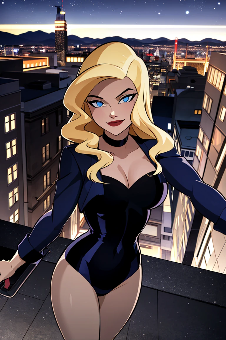 ((masterpiece,best quality)), absurdres,
<lora:Black_Canary_JLU:0.7>, Black_Canary_JLU,
solo, smiling, looking at viewer, cowboy shot,
night sky and city in background, cinematic composition, dynamic pose,