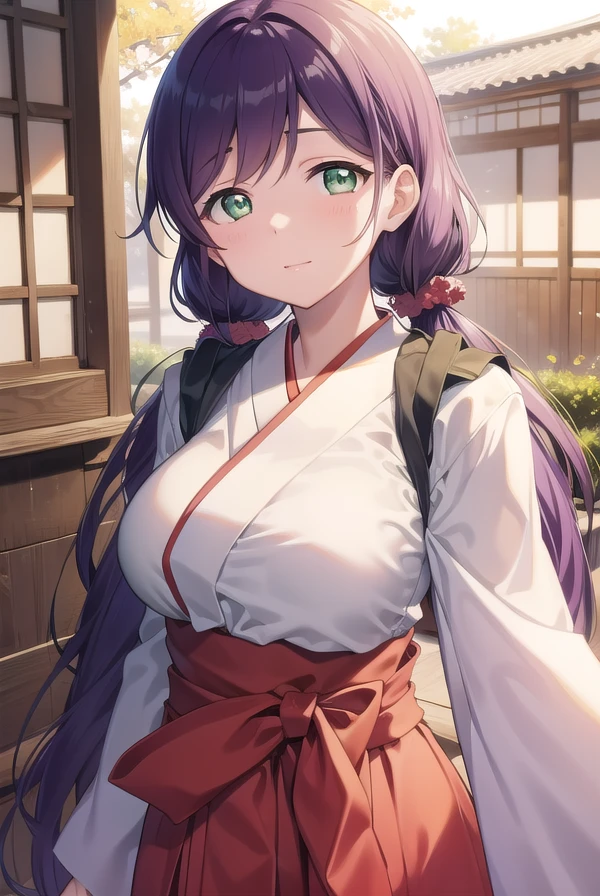 nozomitoujou, <lora:nozomitoujoutest:1>,
nozomi toujou, (green eyes:1.5), purple hair, twintails, low twintails, scrunchie, long hair, (large breast:1.2),
BREAK hakama, hakama skirt, japanese clothes, miko, red hakama, long sleeves,
BREAK looking at viewer,
BREAK outdoors, shrine,
BREAK <lora:GoodHands-vanilla:1>, (masterpiece:1.2), best quality, high resolution, unity 8k wallpaper, (illustration:0.8), (beautiful detailed eyes:1.6), extremely detailed face, perfect lighting, extremely detailed CG, (perfect hands, perfect anatomy),