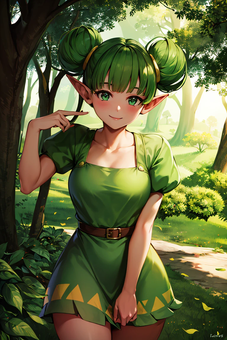((masterpiece,best quality)), absurdres, 
<lora:Farore_Zelda:0.8>, Farore_Zelda, 
solo, smiling, looking at viewer, cowboy shot, 
forest background, cinematic composition, dynamic pose